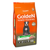 Golden Ração Power Training Adulto 15kg Frango Arroz