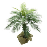 Arvore Planta Verde Palmeira Fênix Coqueiro 120cm Premium