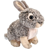 Hermoso Peluche Conejo Baby Mini Cuddlekins Wild Republic