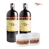 2 Shampoo Yeguada La Reserva + 2 Colágenos Jumbo