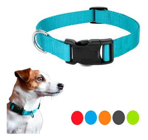 Collar De Nylon Para Perros Gatos Broche Rápido Terra Pet