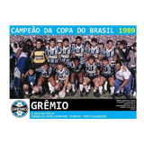 Quadro 20x30: Grêmio Campeão Da Copa Do Brasil - 1989