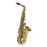 Saxofone Alto Eb - C.g. Conn As650 - Original - Novo.