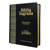 Bíblia Masculina Evangélica Letra Grande/jumbo Com Harpa Na Promoção - Preta Trigo - Capa Dura Linguagem Almeida Revista E Corrigida