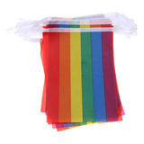 Bandera Pequeña Del Orgullo Gay Lésbico De Human Rights, 38
