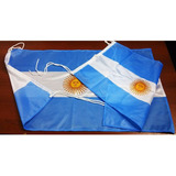 Bandera Argentina 96x60cm Medida Oficial Iram Flameo Reforz.