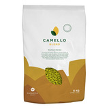 Pasto Camello Blend De Semillas Papalotla Envase 8 Kg