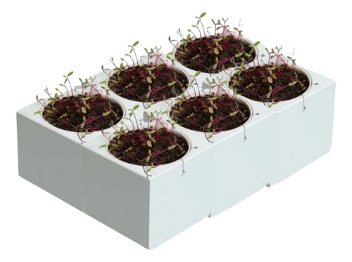 Kit Vasos Plantas Autoirrigáveis Inteligente Jardim Presente