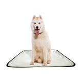 Tapete Para Cães Higiênico Em Oferta 4 Un100x120cm  G1 