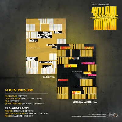 CD Stray Kids Clé 2: Yellow Wood Kpop Álbum Físico con Photobook | Envío gratis