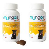 Combo Mungos Probiotic X2 - Masticable Perros Sabor Carne