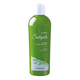 Shampoo Salepelo, Anticaida, 390ml, Natural, Flete Gratis