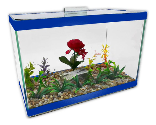 Aquário Nº3 Luxo Decorado 30x15x20 7lts Vidro Peixes Plantas