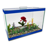 Aquário Nº3 Luxo Decorado 30x15x20 7lts Vidro Peixes Plantas