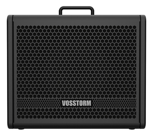 Amplificador Para Guitarra 10 Pol 40w Vosstorm Gx-10