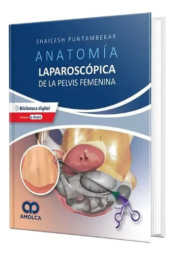 Anatomía Laparoscópica De La Pelvis Femenina. Principios 