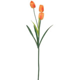 Set 6 Tulipanes 7.5cm