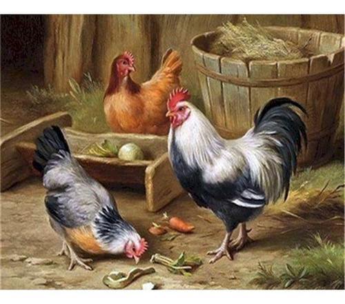 Gallina Chilena / Pintura X N° / Con Marco / Extra Grande