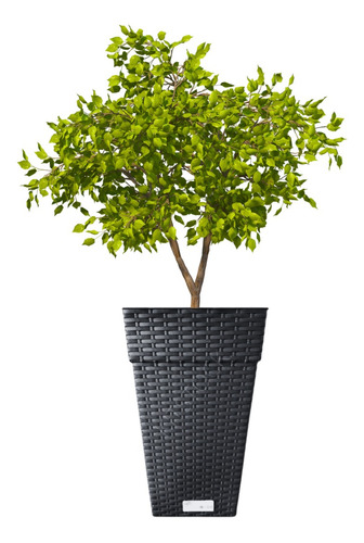 Vaso Decoração Rattan 10l Marrom/branco/preto Plantas 4 Pçs