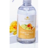 Aromatizante Biogreen Jengibre Limón Y Rosas 500ml Sin Gatil