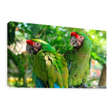 Cuadro Decorativo Canvas Moderno Guacamayas