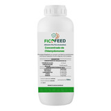 Ficofeed, Alimento Vivo, Concentrado De Chlamydomonas 1 Lt.