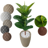 Planta Artificial Ficus Lyrata Verde Com Vaso De Decoração