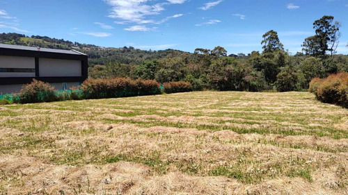 Venta De Lote En El Alto De Las Palmas Sector La Acuarela - Imagen 2