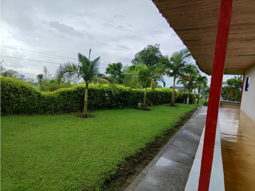 Venta Finca En Produccion Platano Y Aguacate Ulloa - Valle