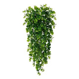 Pendente Mini Ficus Folhagem Jardim Vertical Muro Inglês