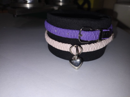 Collar Elastizado Para Gato Con Hebilla Pasante 