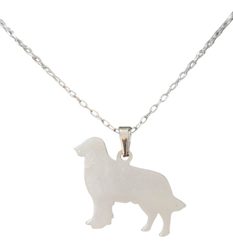 Cadena Collar Perro Golden Retriever Hombre Plata 925 + Caja