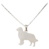 Cadena Collar Perro Golden Retriever Hombre Plata 925 + Caja