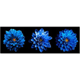 Cuadro Decorativo Flores Opción De Colores Modernas Canvas Color Opalo Azul