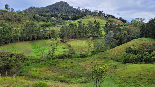 Venta De Terreno Con 3 Matriculas Ubicado En Rionegro El Higuerón