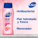 Dial Minerales Rosados Jabón Corporal Liquido 354ml