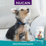 Alimento Croqueta Nucan Perro Cachorro By Nupec 1.8kg