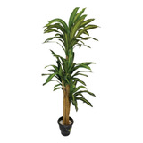 Árvore Dracena Planta Artificial Silicone Decorativa 160cm