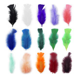 Pluma Gallo Chica X50 Pcs Atrapasueño Souvenir X10 Paquetes