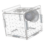 Caja Para De Peces, Caja De Cría Con 6cmx6cmx6cm