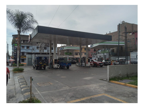 Se Vende Grifo En La Victoria