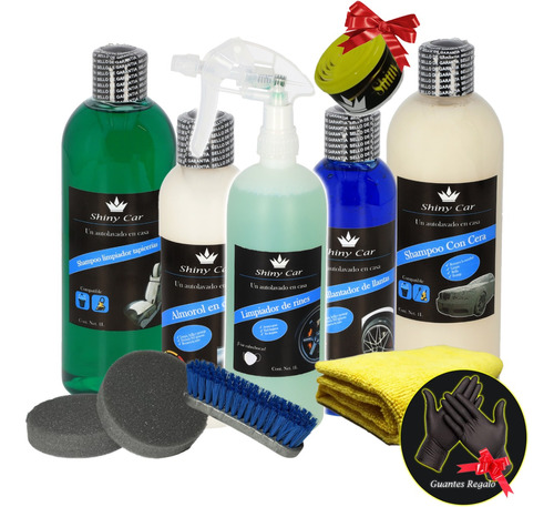 Kit Supremo Detallado Automotriz Profesional Shiny Car