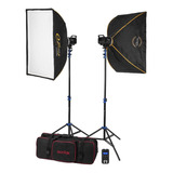 Set 2 Monolight Flashpoint Blaz 200 R2 Studio Godox Ms200-f