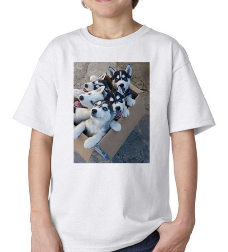 Remera De Niño Husky Siberiano Cachorros M2