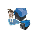 Kit Casinha Caixa De Transporte E Sanitário Pet Dog N4 Mec