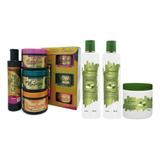 2 Kits Tratamento Capilar Profissional Kinature+ Brinde