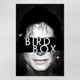 Poster 40x60cm Filmes Bird Box 93