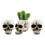 Darware Mini Jarrones De Calavera (paquete De 3); Decoración