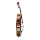 Cello Académico Aileen. Ideal Para Estudios Superiores
