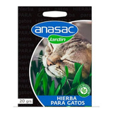 Semilla Hierba Para Gatos Anasac.